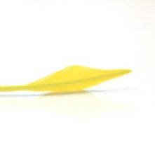 Bright Yellow Arrow Head Feather